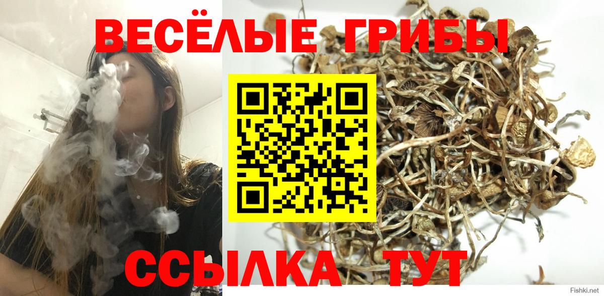 Орехово-Зуево  Псилоцибиновые грибы Cubensis  Вход с VPN  Псилоцибиновые грибы Magic Shrooms 