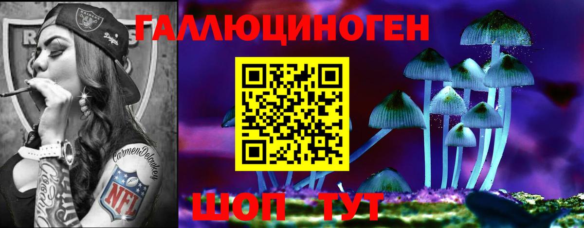 Галлюциногенные грибы Psilocybine cubensis Орехово-Зуево